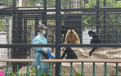 類鼻疽︱死亡率高達75% 一般不會動物傳人 今年已錄19宗人類感染