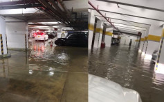 【山竹袭港】林村河被淹没倒灌 大埔多个地库停车场开始水浸