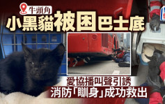 牛头角道小猫困巴士底 爱协播叫声引诱 消防「瞓身」救出