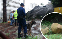 荔枝角收押所山坡塌石毀圍網 懲教人員出動警衛犬戒備