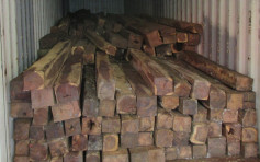 海關貨櫃檢獲290萬元伯利茲黃檀木材 拘捕35歲女子