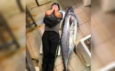 【維港會】大埔街市現超級大鮫魚 重逾90斤與成年男性一樣高
