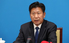 內地教育部體衛藝司司長王登峰被查 曾專責青少年足球發展