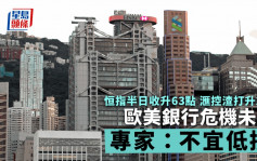 恒指半日收升63点 滙控渣打升2% 分析：危机仍未解除现不宜买入