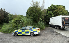 大角咀奪命車禍｜七旬婦遭兩車撞斃 警八鄉尋獲不顧而去中貨及司機