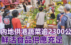 內地供港鮮活食品供應充足 菜芯平均批發價每斤5.6元