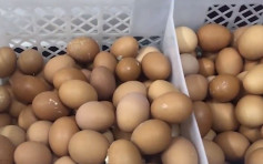 執半公斤狗糞就能換同等雞蛋 北京便利店遭搶清光