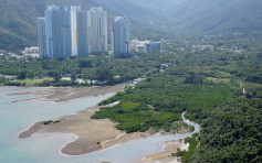逾9成人认同保育东涌河 绿色力量倡政府严格规管土地利用
