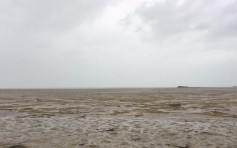 【有片】飓风艾尔玛吸走海水 汪洋乾涸变泥滩