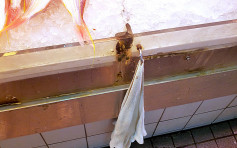 土瓜灣魚販提供不潔共用毛巾 食環首次作檢控