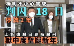 杨明不小心驾驶上诉遭驳回 即时入狱18天 官：铁证如山