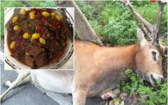 江苏麋鹿保护区门口 餐厅卖鹿肉150元一份