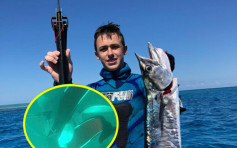 潛水捕魚遇公牛鯊突襲 澳洲少年：人生最恐怖兩分鐘