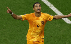 世界杯2022｜荷兰2:0卡塔尔 塞内加尔2:1厄瓜多尔携手晋级十六强