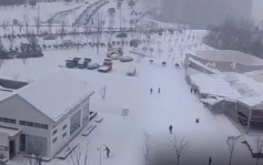 再有体育馆被暴雪压塌 河南信阳市：无人伤亡
