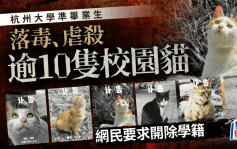 「准毕业生投毒、虐杀十几只校园猫咪」 中国计量大学回应：已处分