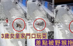 重庆3岁女童家门口险被野猴拖走 幸邻居及时救下