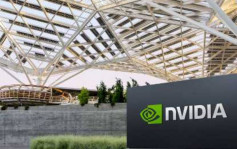 Nvidia近况回落 「空军」3日大赚390亿