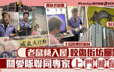 社区的事 | 乐民新村老鼠入屋咬伤街坊 关爱队联同专家上门灭鼠