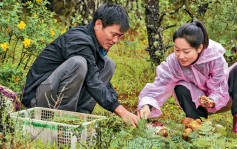 特稿：暑假亲子采菇团火爆 大理古城山上「人比菌多」