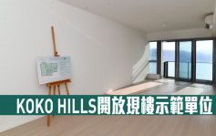 热辣新盘放送｜KOKO HILLS开放现楼示范单位