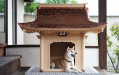 神社技術製作狗屋「犬殿」 一間盛惠15萬美元