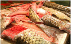 西區副食品批發市場鯇魚樣本含孔雀石綠