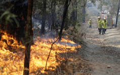 澳洲高温强风或令火势蔓延 山火恐再烧2个月