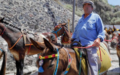 希臘聖托里尼禁體重磅遊客騎驢仔
