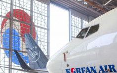 大韩航空涉亏空公款案 南韩检察部门突击搜查总部