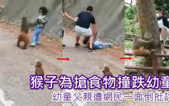 猴子扑向幼童欲抢食物 父亲疑报复追打惹热议