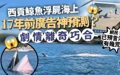 西貢鯨魚浮屍海上 17年前廣告神預測？劇情離奇巧合 網民：已預言港人有幾荒謬｜Juicy叮