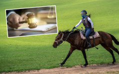 上海女子騎馬摔斷11顆牙 獲馬場賠27萬