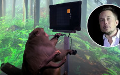 晶片植入猴子大腦實驗致15猴子死亡 馬斯克大腦晶片公司捱轟