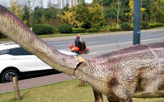四川恐龙像屡遭旅客摧残　当局维修赶不上破坏速度