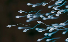 意大利研究指近20%新冠男康复者精液完全无精子