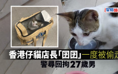 香港仔猫店长「囝囝」一度被偷走 警寻回拘27岁男