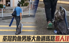 荃湾钓鱼男拖大鱼过马路途人侧目 网民：咁样拖地都唔知食唔食好