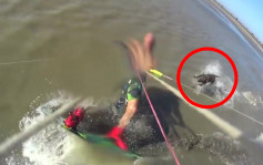 阿根廷男子玩衝浪滑翔傘 遭惡狗追咬受傷縫了18針