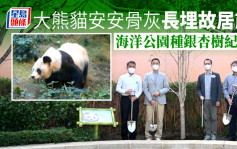 海洋公園植銀杏樹紀念大熊貓安安 以生命延續生命