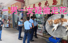 大角嘴電器鋪花貓疑被偷走 警員到場調查