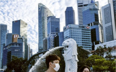 港府：下月初與新加坡檢視「旅遊氣泡」目標啓航日期