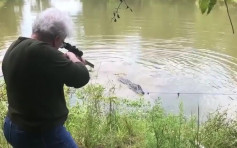 為愛駒報仇 美國73歲婆婆一槍擊斃大鱷 