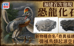 弥补鸟类起源空白｜福建首次发现恐龙化石 新物种命名「奇异福建龙」