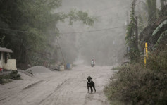 菲火山爆发居民撤离   遗下数百动物濒死