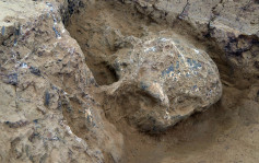 湖北發現古人類頭骨化石 證中國百萬年人類史