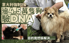 意大利地方政府下令全省狗狗驗DNA  是為了「這個目的」