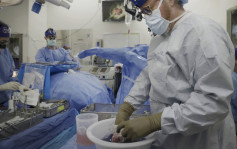 猪肾移植脑死病人成功运作月馀 跨物种器官移植大突破