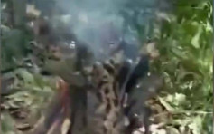 男子直播BBQ燒豹貓 被森林警察拘捕