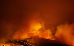 葡萄牙山火24死20伤　火舌席卷公路死者烧死车上